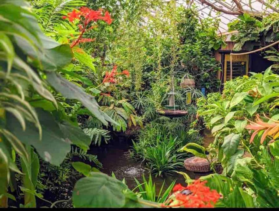 Hidden Gem !Stunning 3 Bedroom Home In Sheffield Handsworth 외부 사진