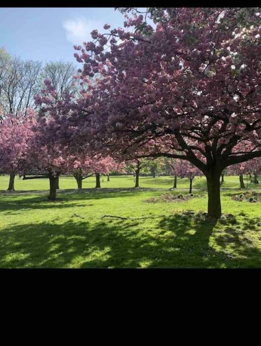 Hidden Gem !Stunning 3 Bedroom Home In Sheffield Handsworth 외부 사진